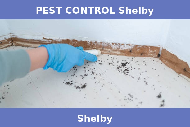 PEST CONTROL Shelby